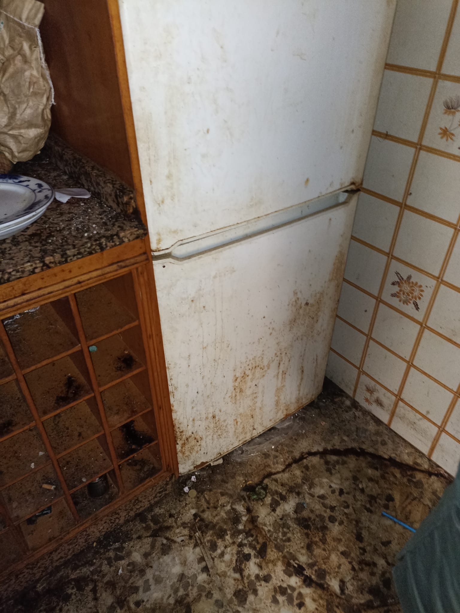 Servicio de vaciado de pisos y recogida de muebles en L'Ametlla de Mar - ¡Presupuestos sin compromiso!