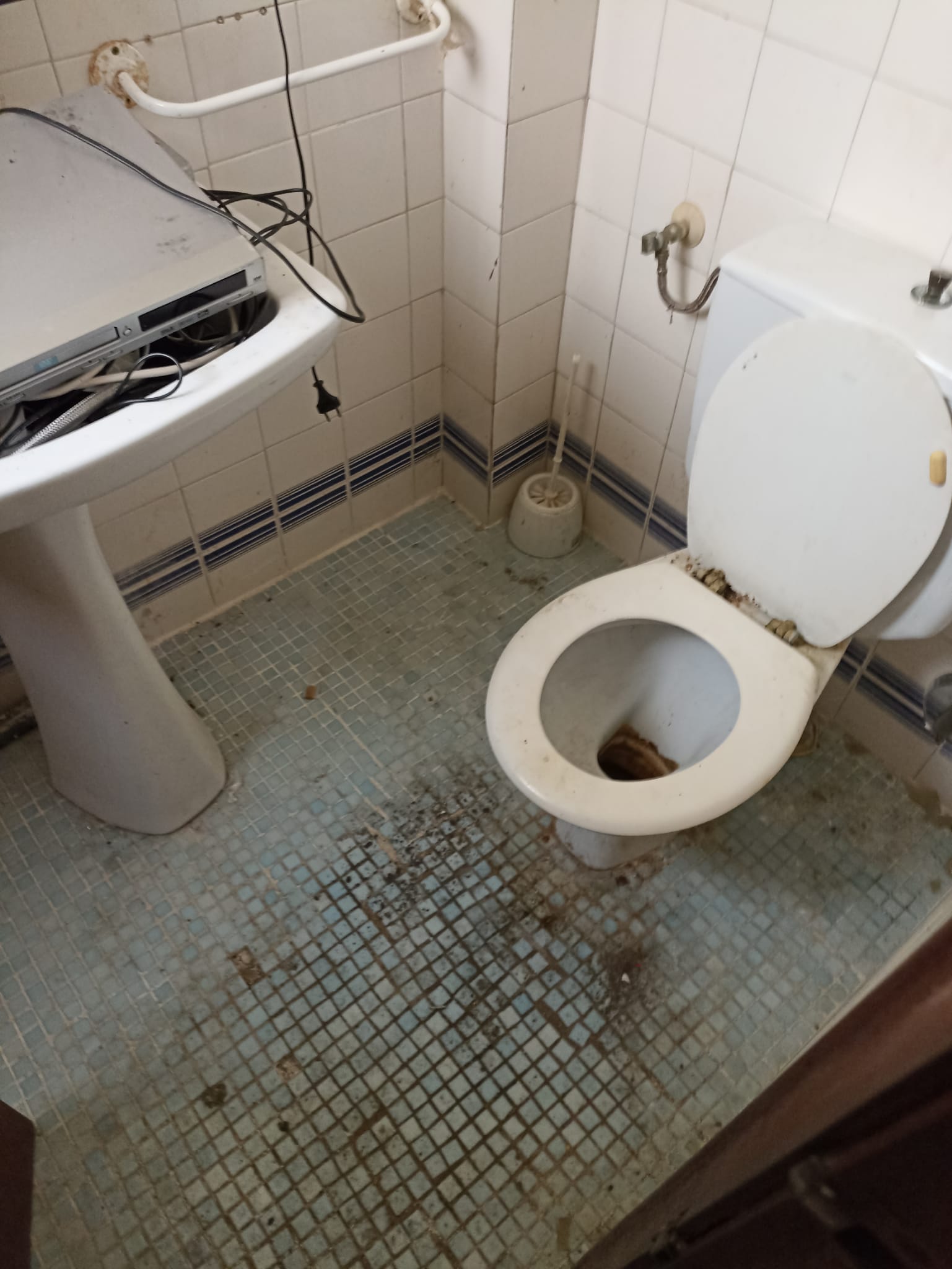 ¿Necesitas vaciar tu piso en El Masroig? Conoce nuestras tarifas y precios