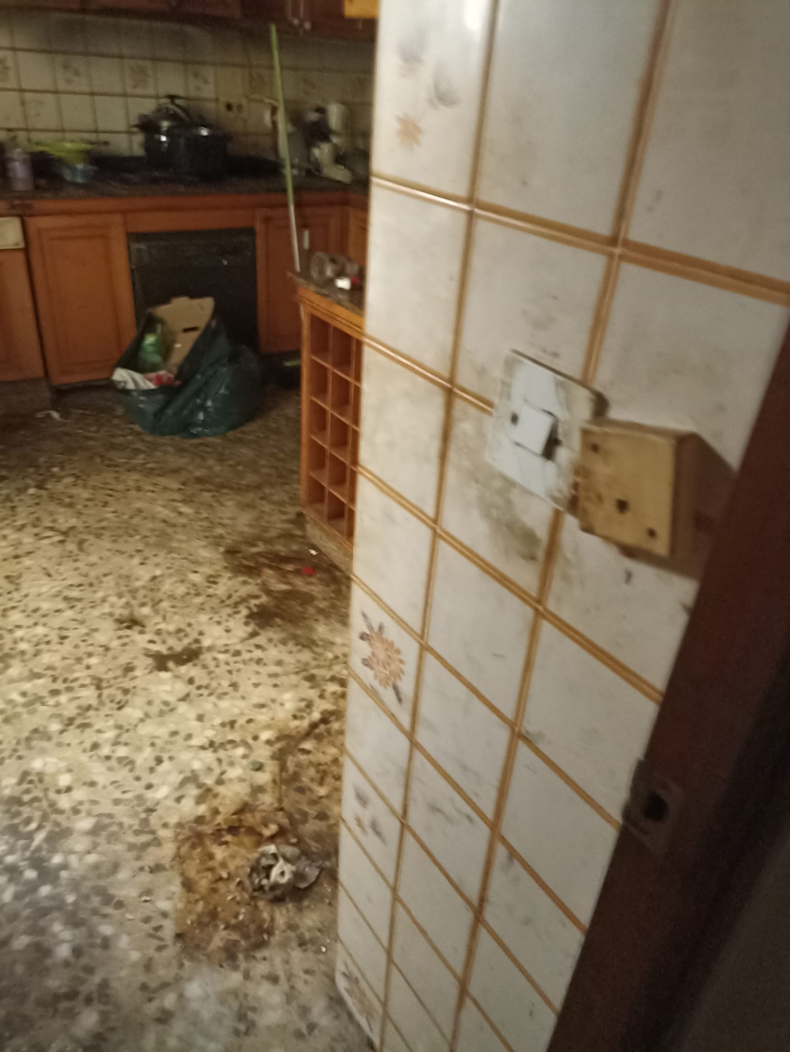 Empresa especializada en vaciado de pisos y recogida de muebles en La Bisbal de Falset