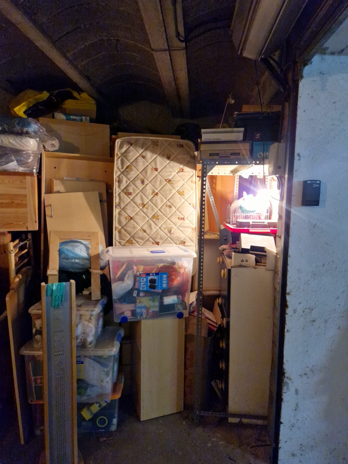 Recogida y reciclaje de trastos y muebles viejos en L'Albiol - ¡Tu hogar libre de desorden!