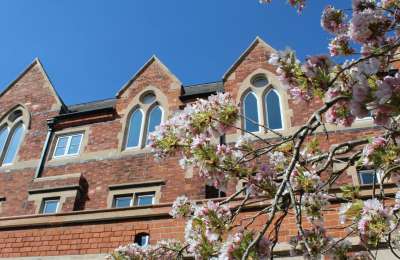 Skinner blossom campus spring