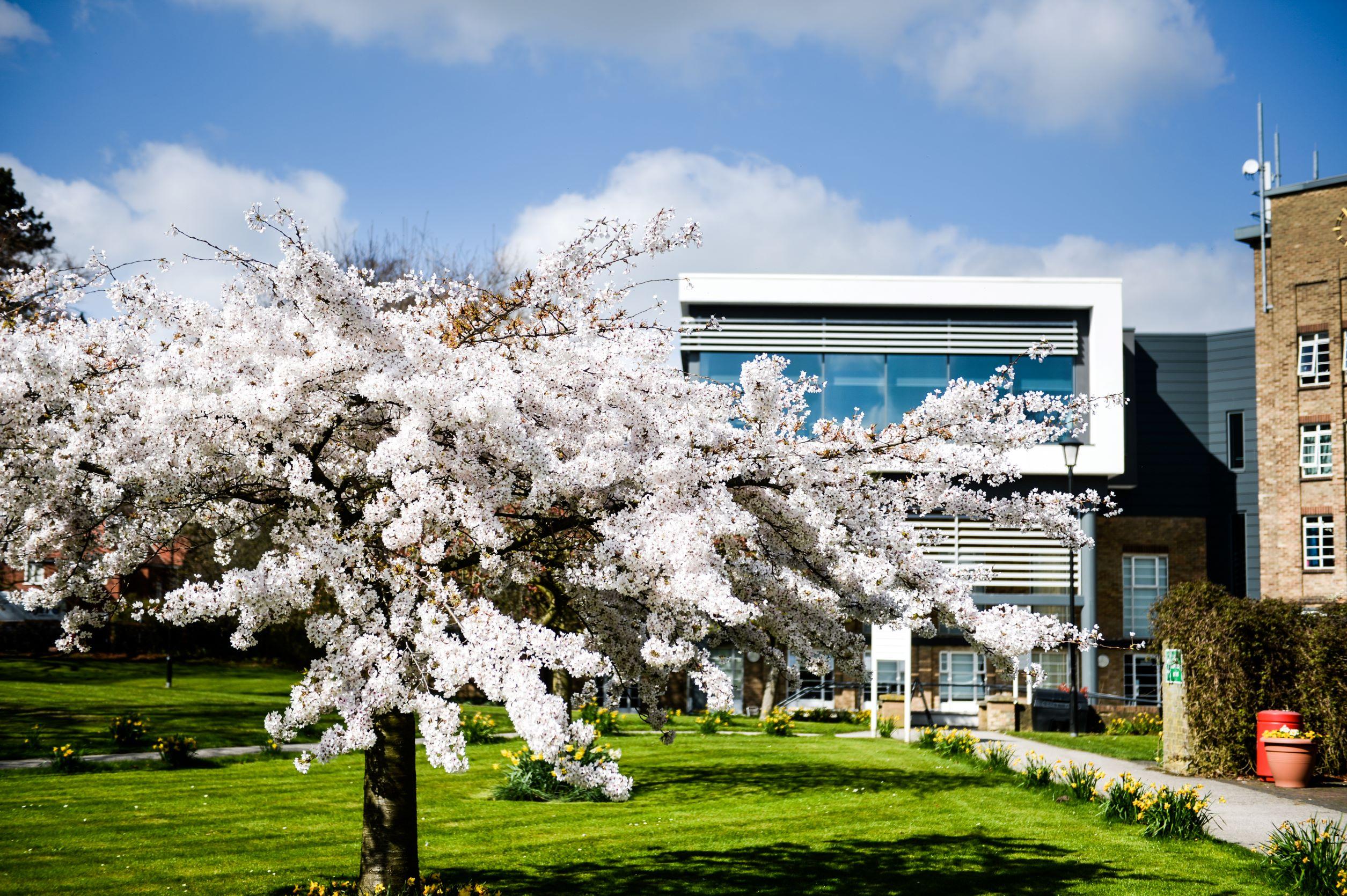 Spring-Campus-2