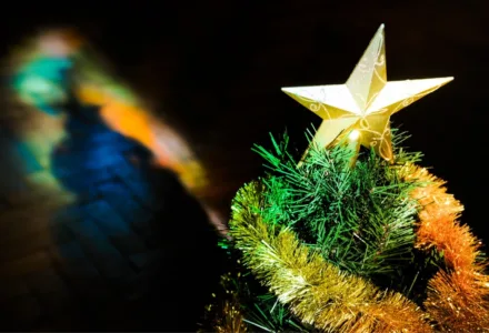 Christmas photos 6