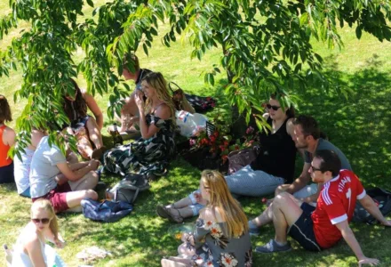Summer Students Campus