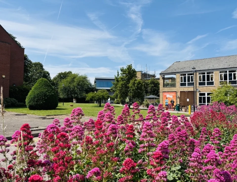 Campus summer