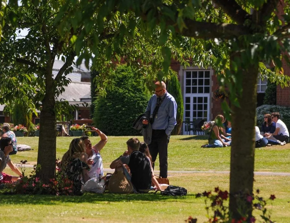 Results day survival guide banner