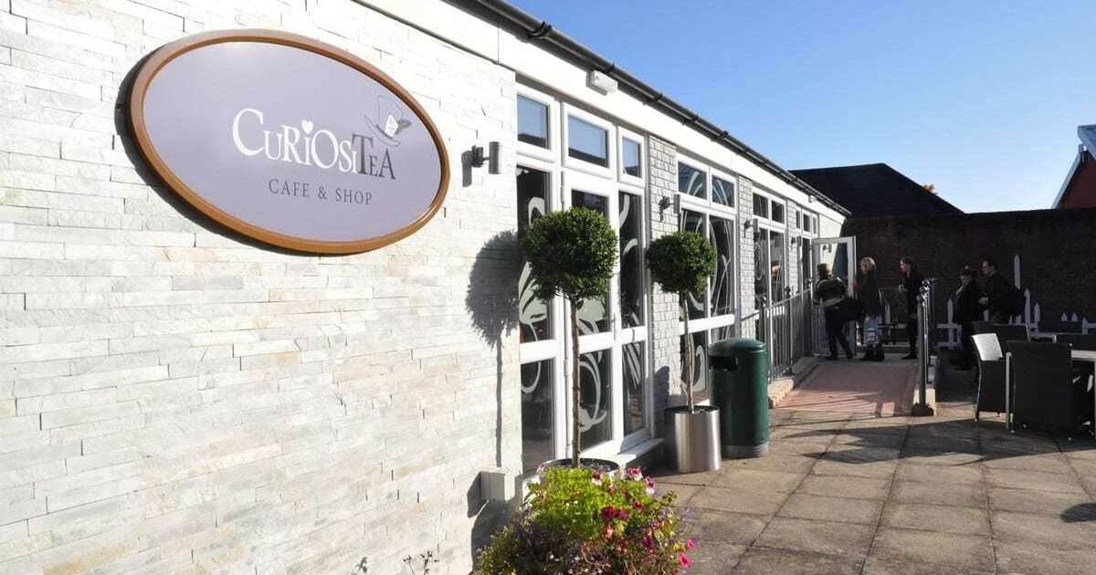 Curiositea