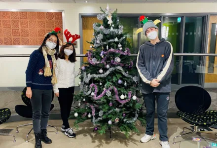 Final photo tree copy