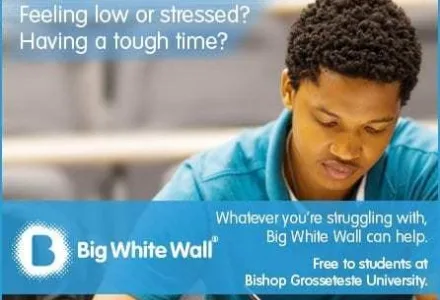 Big20 White20 Wall 1