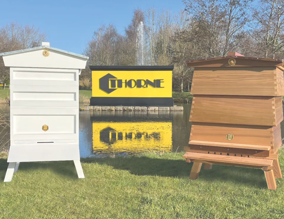Thorne Sign Hives