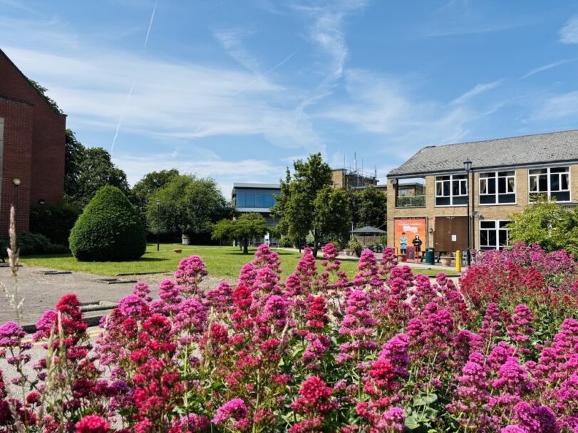 Campus summer