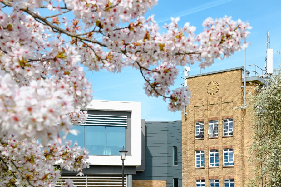 Our Campus 1