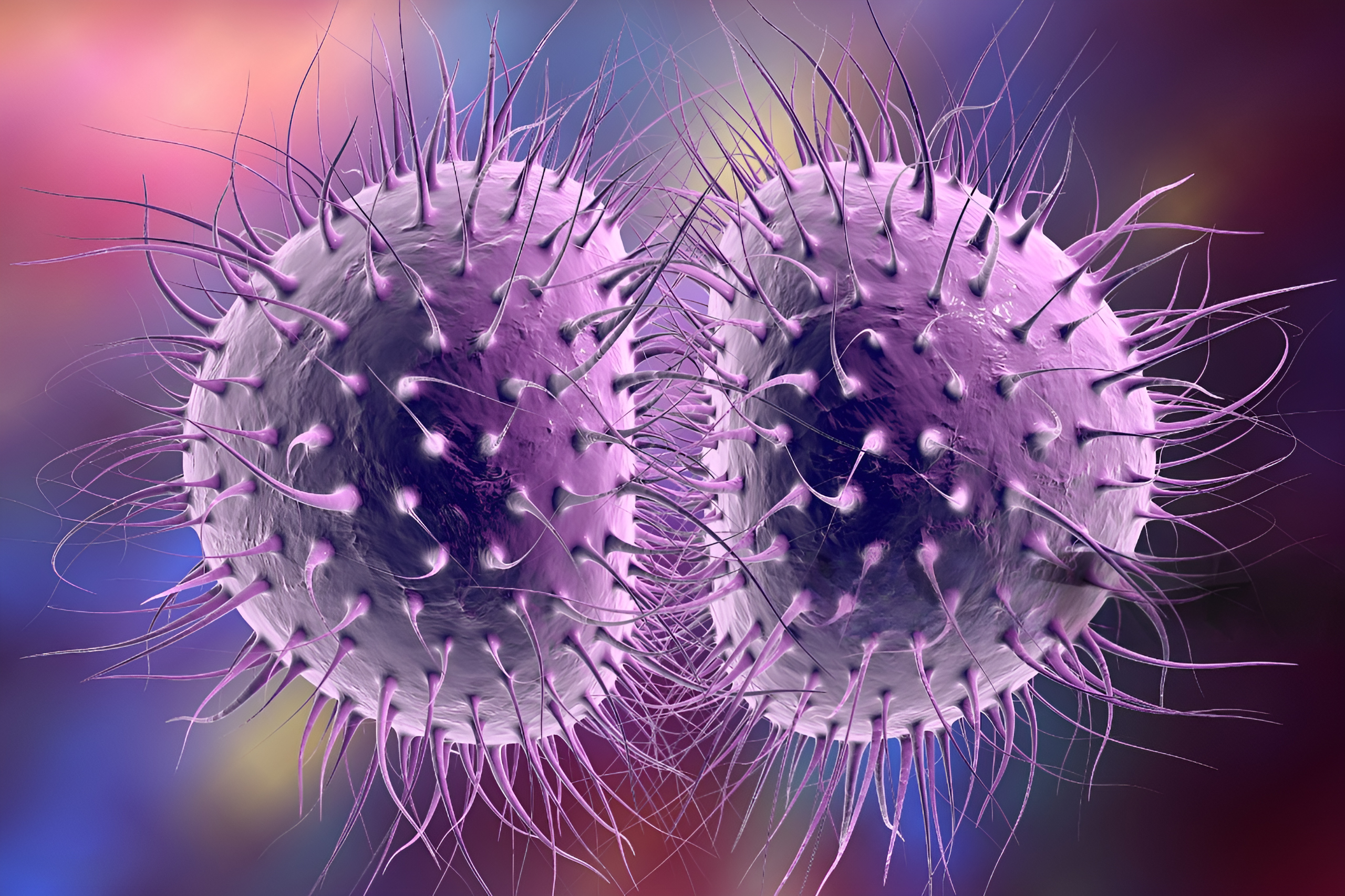 Package Image