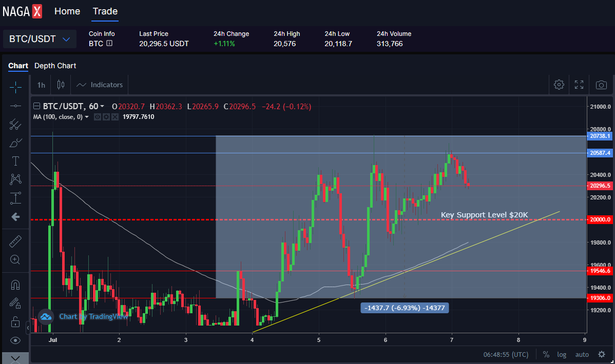 NAGAX-BTC-USDT-Crypto-Chart