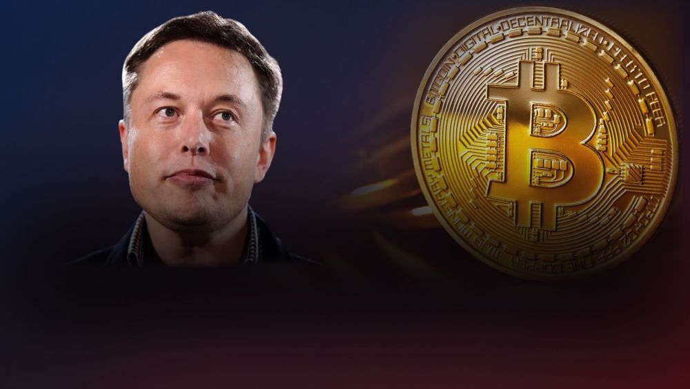 Bitcoin prime musk