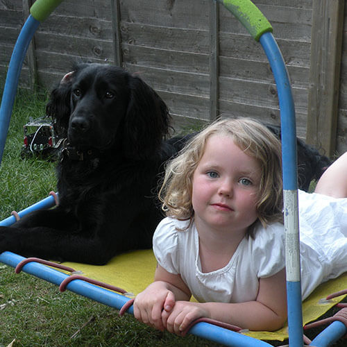 BorrowMyDoggy dog with toddler BorrowMyDoggy dog with toddler