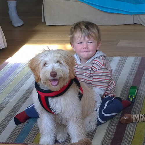 BorrowMyDoggy dog with children BorrowMyDoggy dog with children