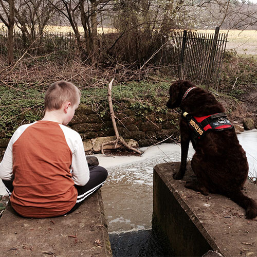 BorrowMyDoggy dog with child BorrowMyDoggy dog with child