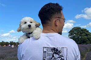 How to tell a dog loves you - BorrowMyDoggy member Nelli How to tell a dog loves you - BorrowMyDoggy member Nelli