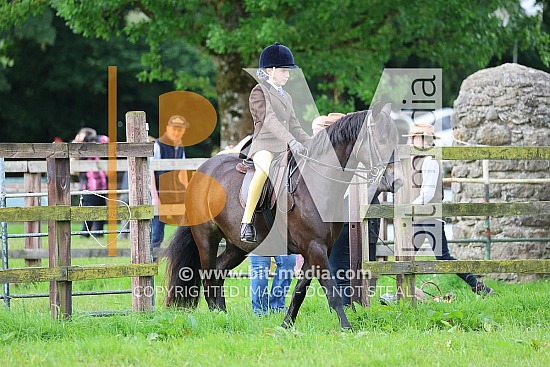 Scarteen RDS Irish Draught/Connemara Qualifier