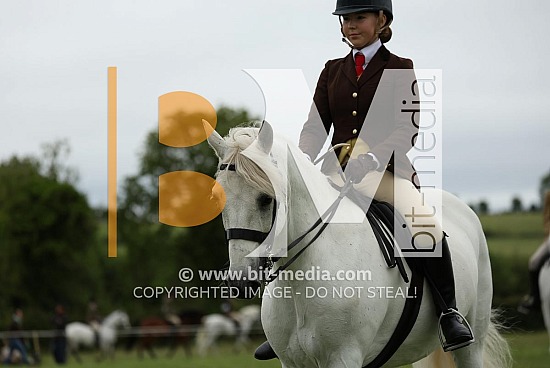 Rincoola RDS Irish Draught/Connemara Qualifier