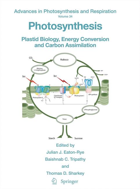 Cover of 'Photosynthesis'