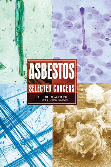 Cover of 'Asbestos'