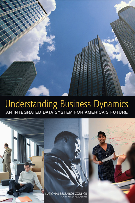 Cover of 'Understanding Business Dynamics'