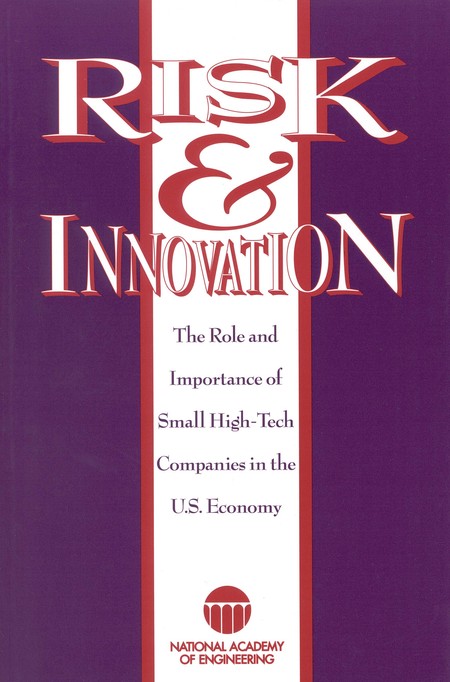 Cover of 'Risk and Innovation'