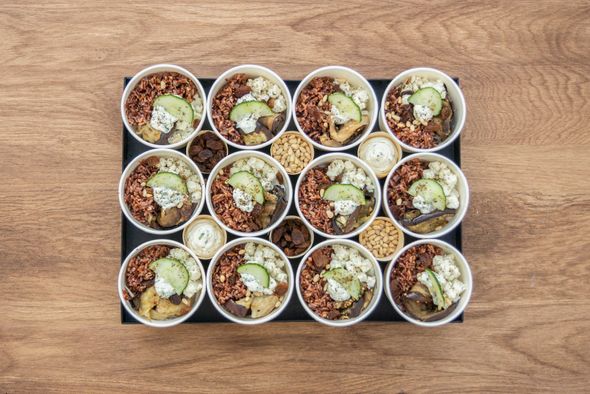 Plateau Levantine Bowl Feta