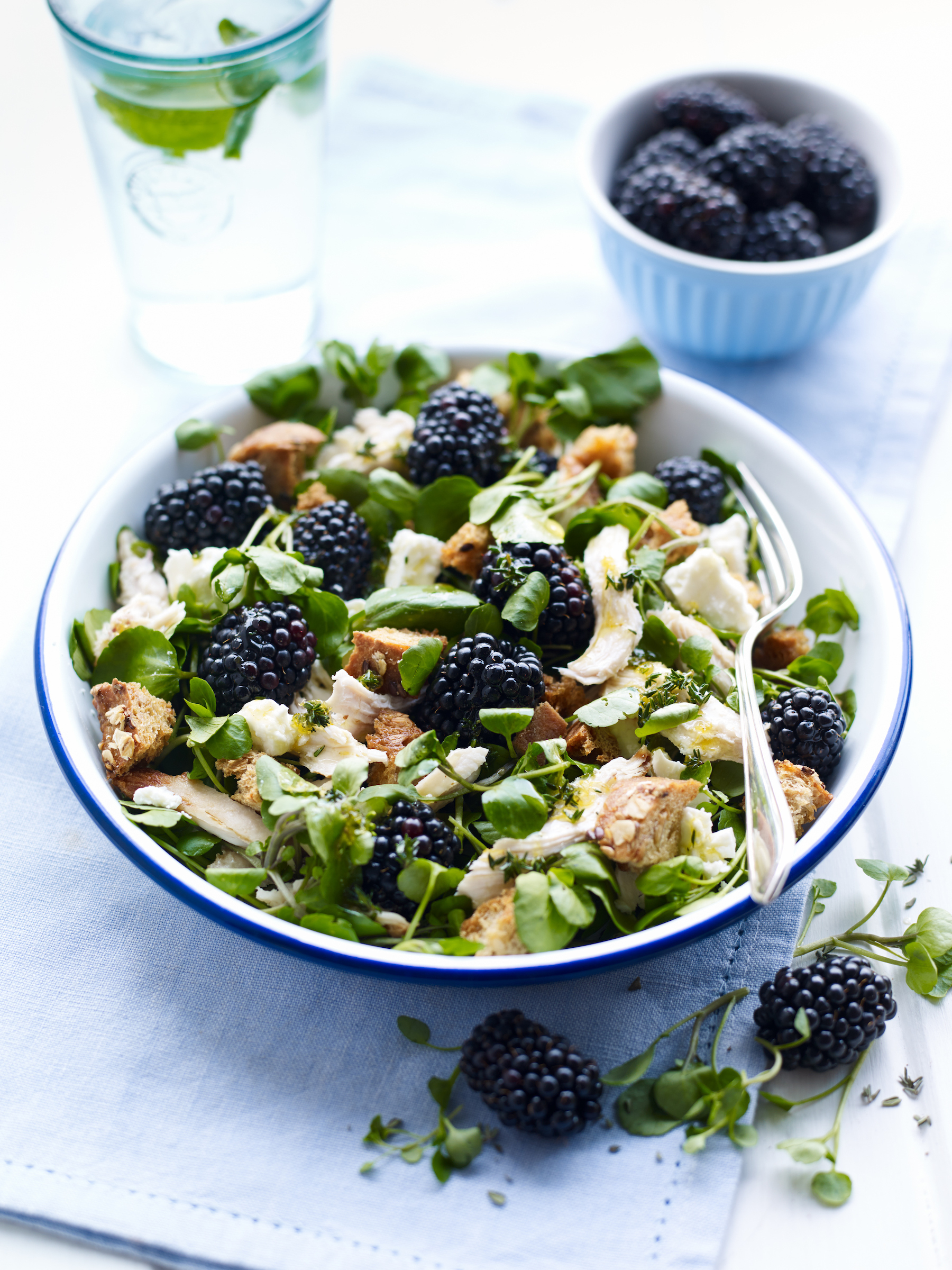 Berry World Chicken and Blackberry Salad 75isq2au2