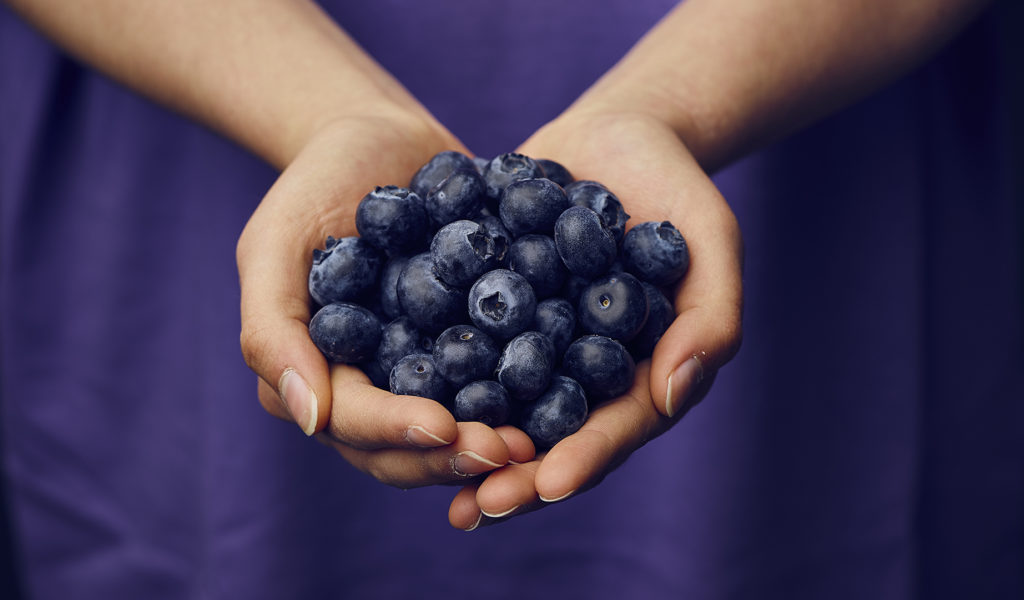 Woman's hands holding blueberries