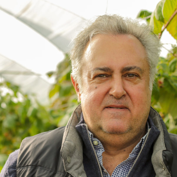 Arofa Farms