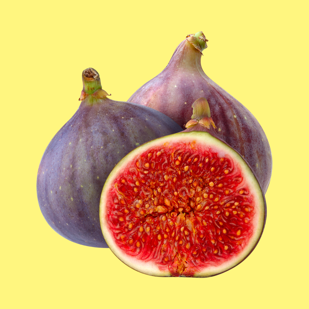 Fig