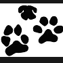 Nose and Paws Active logo