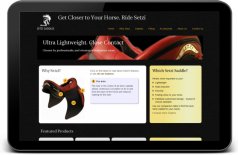 Setzi website