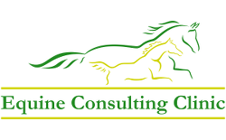 Equine Consulting Clinic
