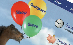 Equine Compare flyer
