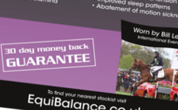 Equibalance flyer