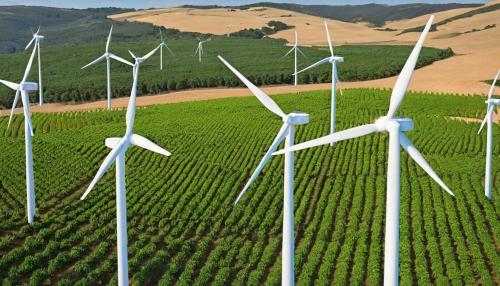 O futuro da energia em Portugal: renováveis, preços e inovação