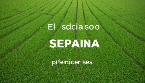 El futuro de la energía renovable en España: innovación y desafíos