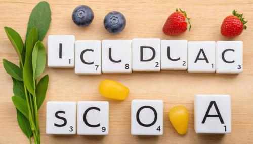 Descubriendo los secretos de una vida saludable: más allá de la dieta y el ejercicio