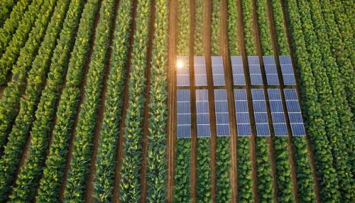 The hidden revolution: how solar energy is quietly transforming America's heartland