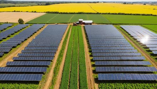 The hidden revolution: how solar energy is quietly transforming America's heartland