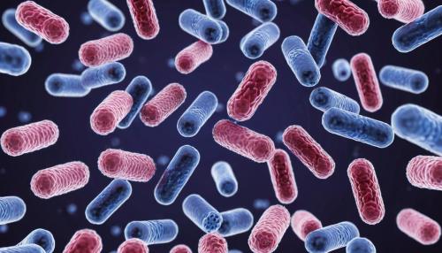 La revolución silenciosa de la microbiota intestinal: cómo tus bacterias deciden tu salud