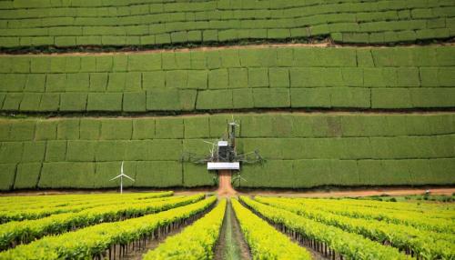 O futuro das telecomunicações em Portugal: entre a fibra ótica e a revolução 5G