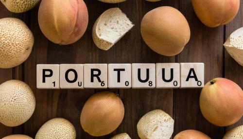 O labirinto fiscal dos créditos: como as famílias portuguesas estão a ser estranguladas pela burocracia