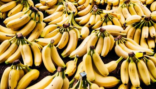 The hidden world of everyday oddities: surprising facts that will change how you see the world