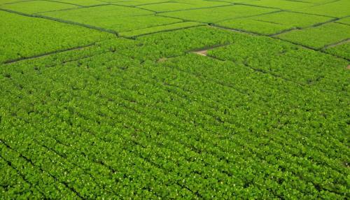 La revolución silenciosa del hidrógeno verde en España: más allá de los titulares