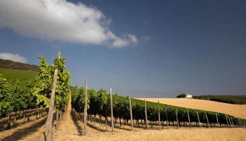 A revolução silenciosa das telecomunicações: como a fibra está a mudar Portugal